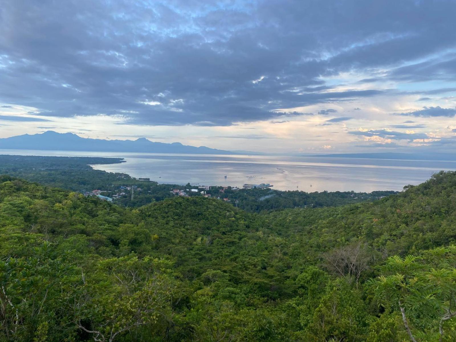 Thornton'S Sea View Cafe & Guesthouse Siquijor Εξωτερικό φωτογραφία